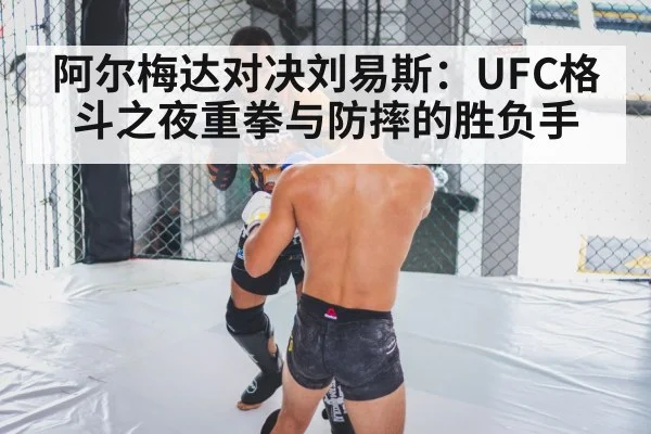 阿尔梅达对决刘易斯:UFC格斗之夜重拳与防摔的胜负手